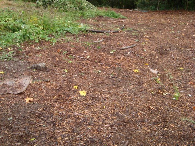 [DSC01294.JPG]
