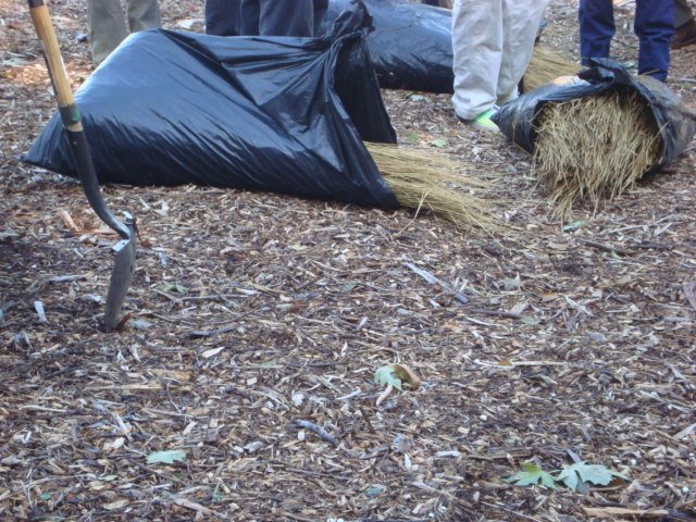 [DSC01519.JPG]
