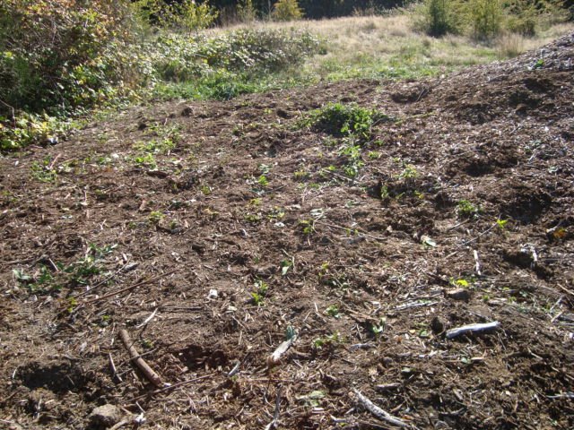 [DSC01550.JPG]
