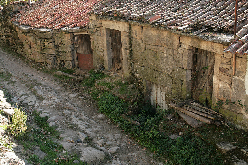 [IMG_8972.jpg]