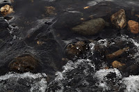 Café Portugal - PASSEIO DE JORNALISTAS em Moncorvo