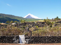 Café Portugal - PASSEIO DE JORNALISTAS nos Açores - Montanha do Pico