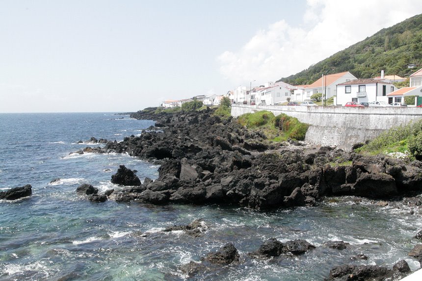 [IMG_8228.jpg]