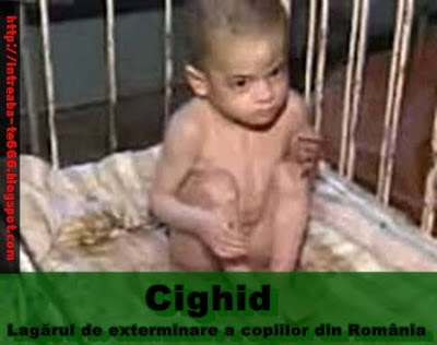 Cighid – Lagărul de exterminare a copiilor din România