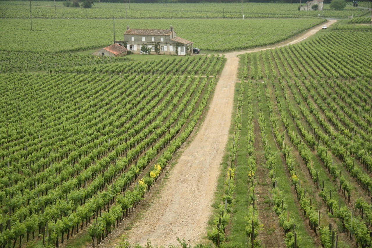 [France+042+(1280x853).jpg]