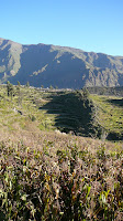 Inca terraces
