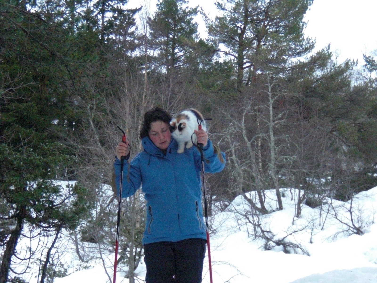 [julaften+2008+061.JPG]