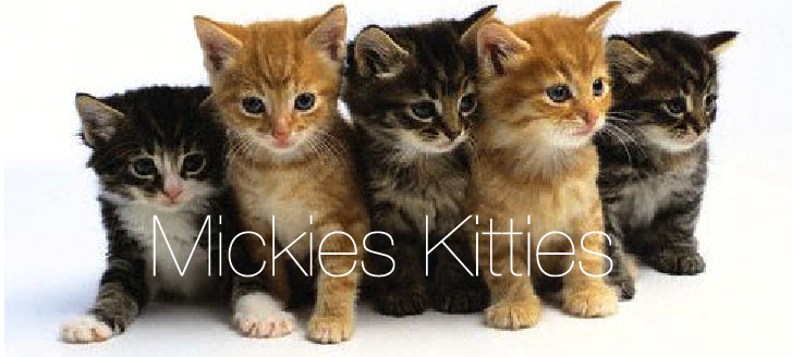 Mickies Kitties