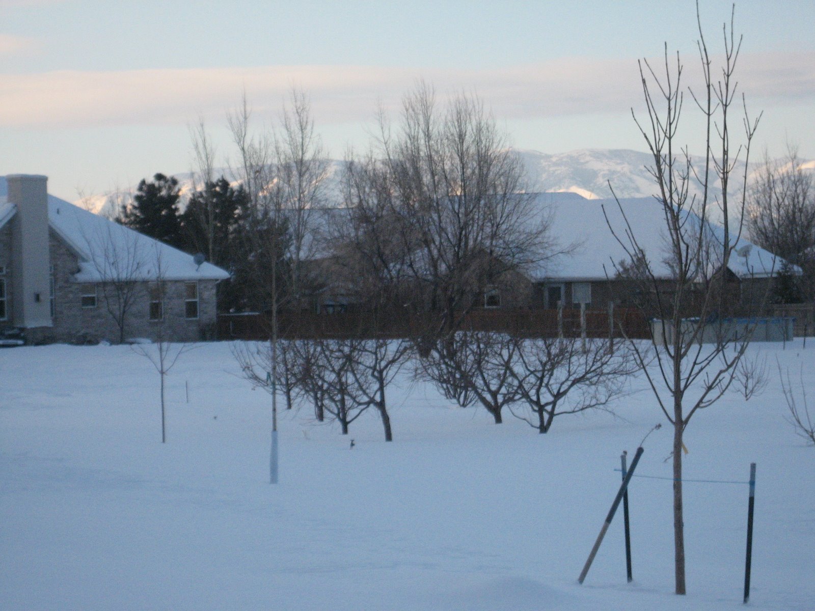 [IMG_1454.JPG]