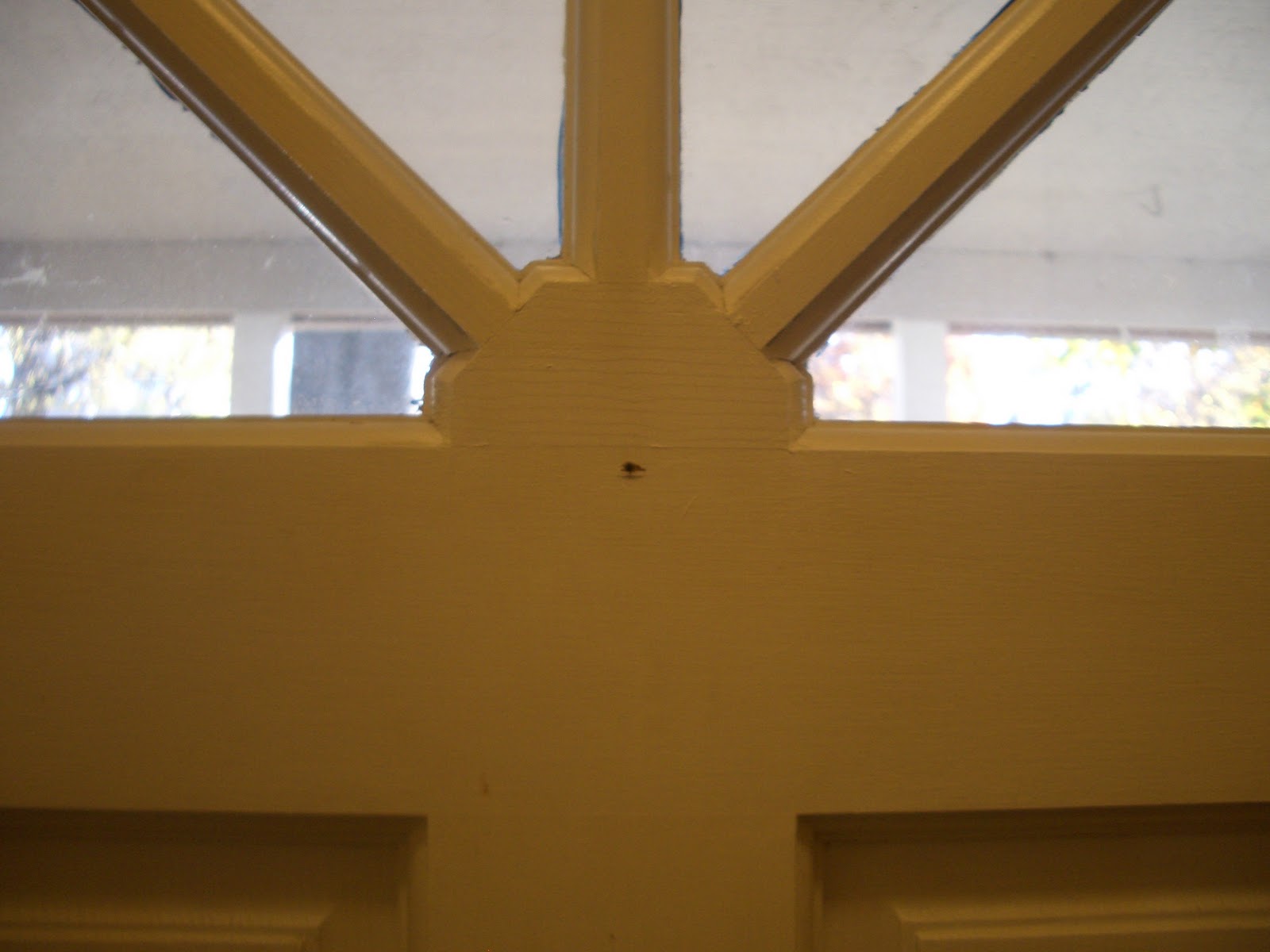 Cool Home Creations 11/01/2010 12/01/2010