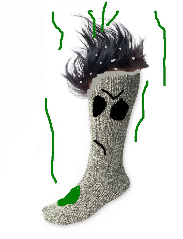 [funnysock.bmp]