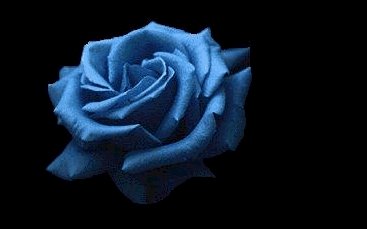 [ROSA.bmp]