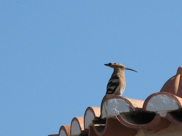 [IMG_3490.JPG]