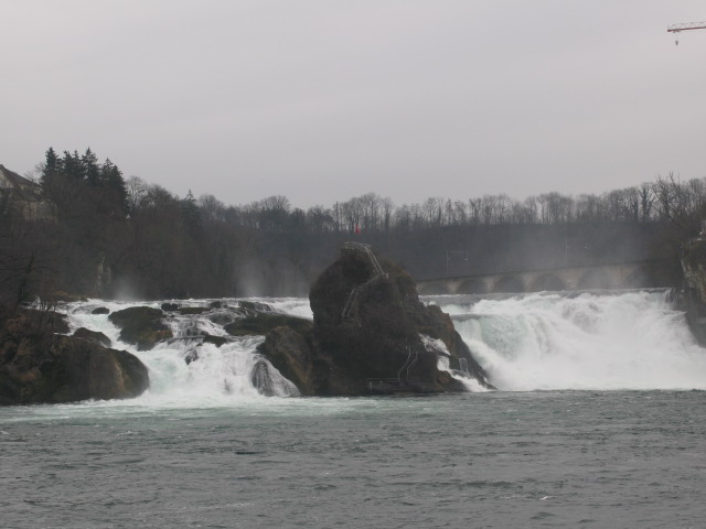 [IMG_5649.JPG]
