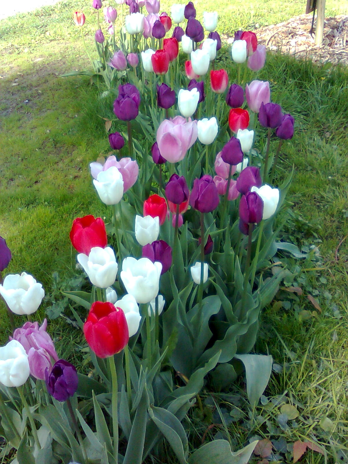 Gröna böcker svart kaffe: maj 2010