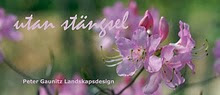 Visit My Swedish Blog