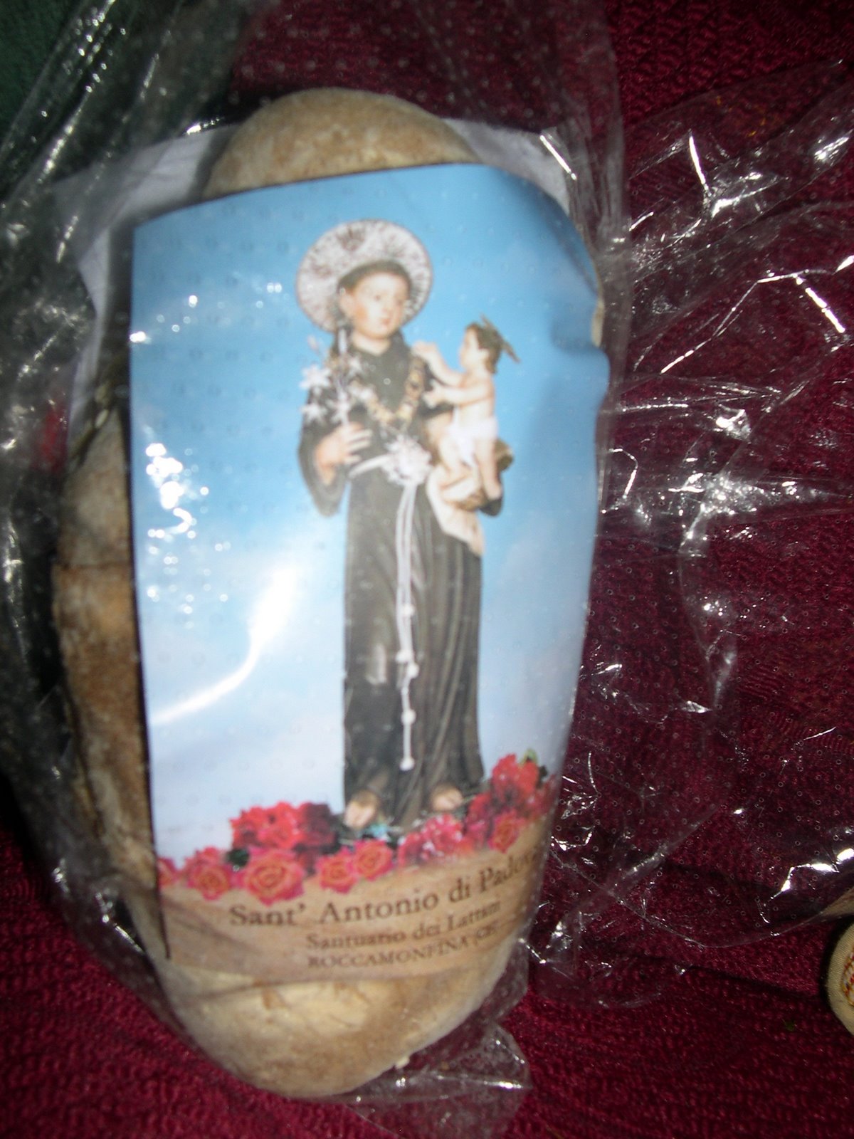 [DSCN4729.JPG]