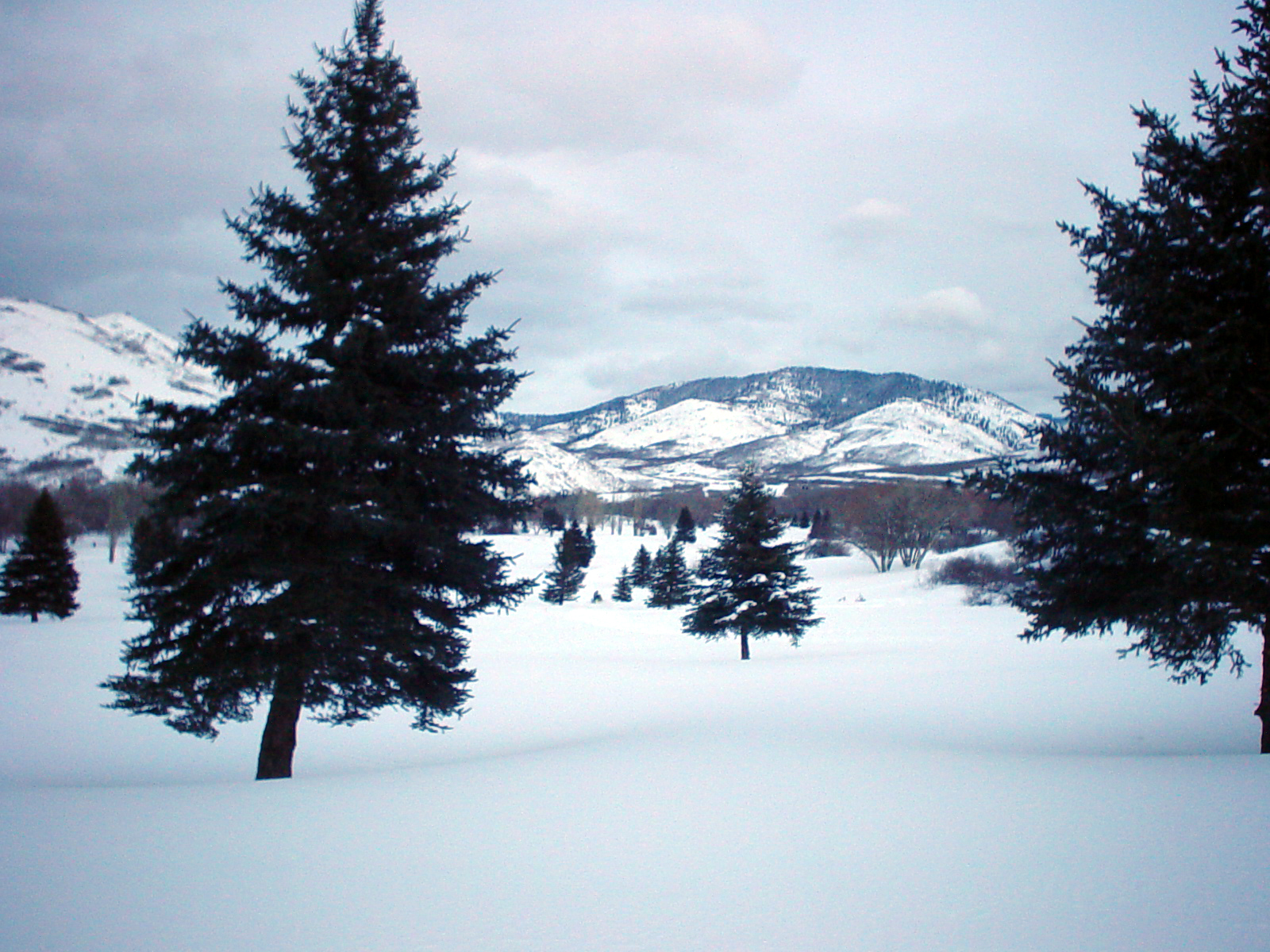 [DSC03625.JPG]