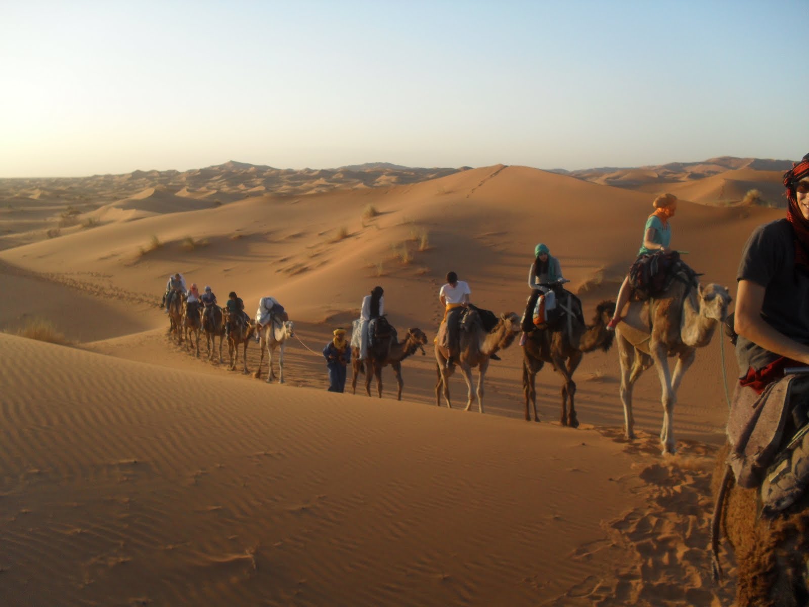 camel journey