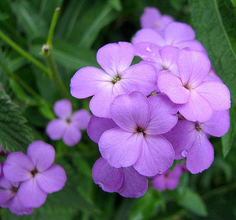 [IMG_0010mg.jpg]