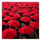 [paraguas+rojos.jpg]