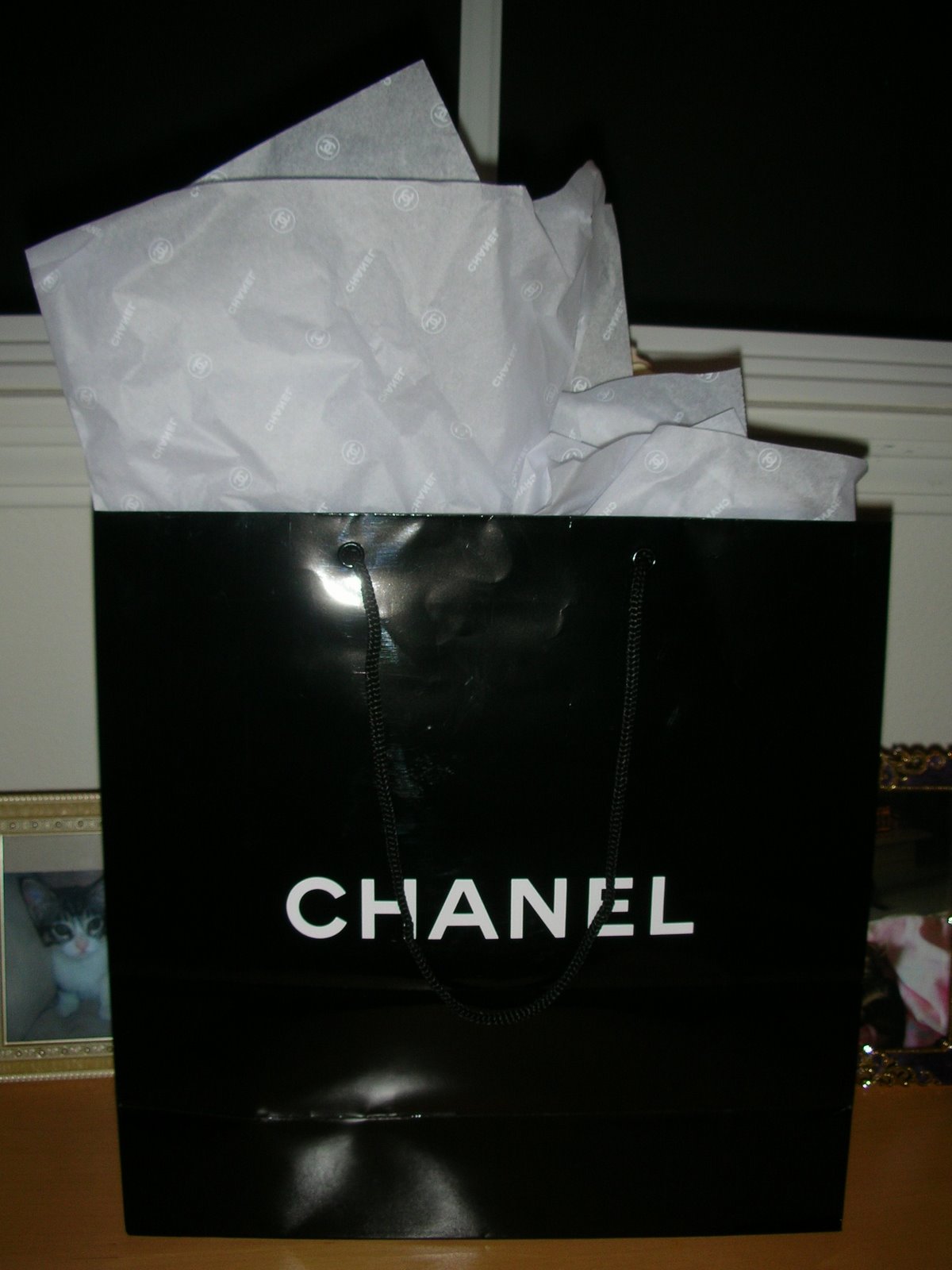 [sunglasses+001.jpg]