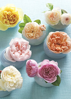 Rabbit Hill Primitives: "I wish you flowers in the spring to give your