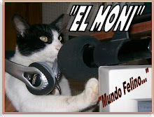 Mundo Felino...