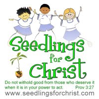 [seedlings+logo.jpg]