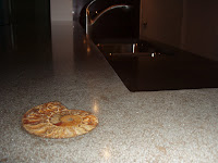 Kangaroo Promotions Concrete Countertops Etc Now Lighter