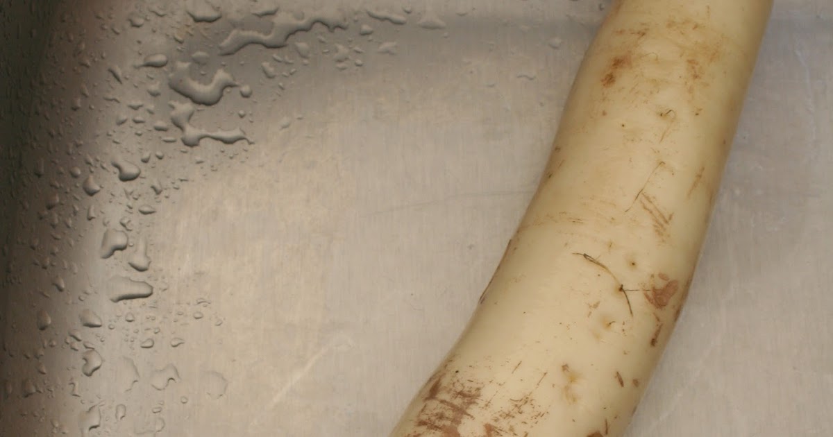 The Grub Files Cooking with Camissonia Daikon Radish Cake (Lo Bo Gao)