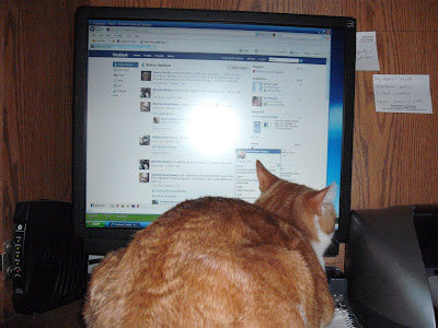 cat facebook