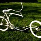 Forkless cruiser, uma bicicleta sem garfo