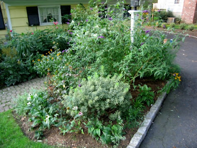 heirloom gardener: January 2008