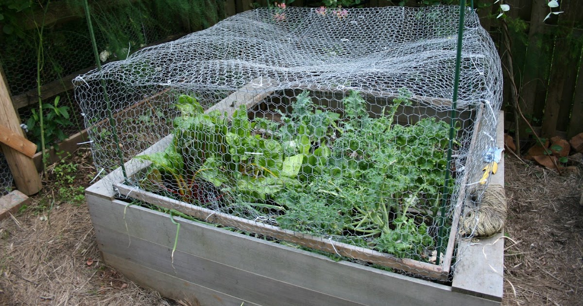 heirloom gardener: How to Protect the Vegetable Garden from the