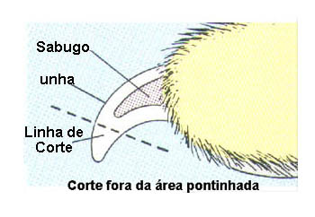 [unha2.jpg]