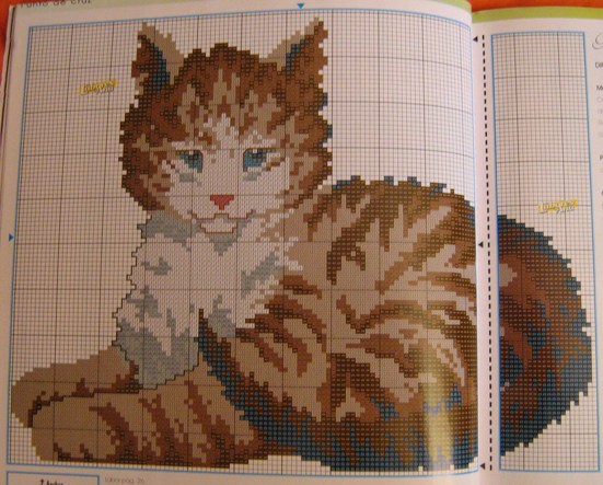 [Gato+3.JPG]