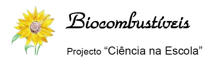 Biocombustíveis