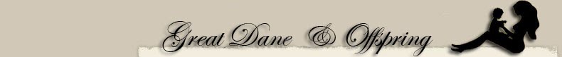 Great Dane