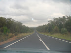 Voila voila, ca monte, ca descend, mais toujours tout droit. Au choix je pouvais passer par Sydney pour rejoindre Melbourne mais dans ce cas, la plupart du trajet aurait ete de la 2x4 voies. Toujours pas vu un Kangourou vivant. Que des Kangourous ou wallabies a differents stades de decomposition.