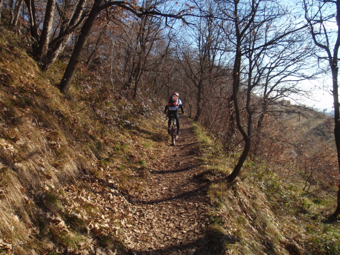 Itinerari Mountain Bike Scialpinismo Bici Strada Mtb Parco Del Curone Montevecchia