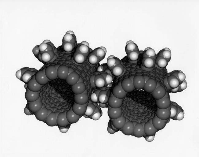 [Fullerene+nanogears_Nasa.jpg]