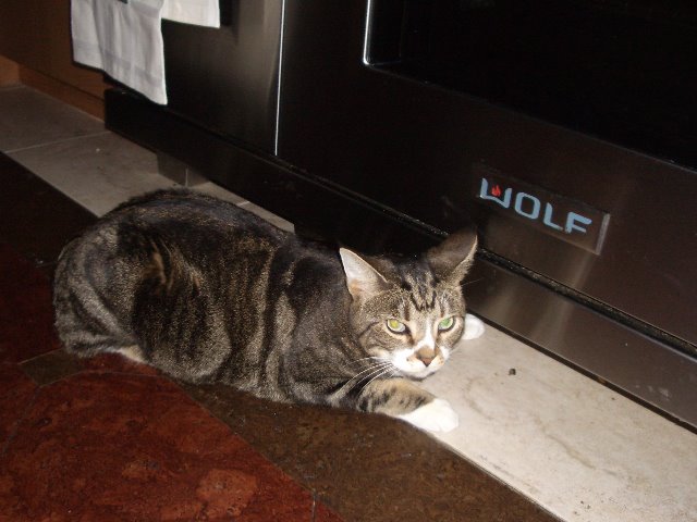 [Mouse1.htm]