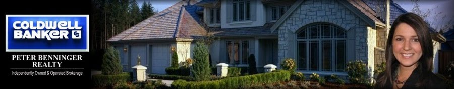 Julie Schmidt Real Estate Video Blog Kitchener, ON
