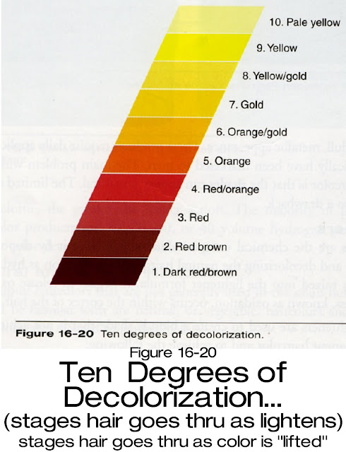 Underlying Pigment Chart Hair Color