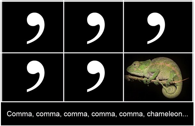 Comma Chameleon
