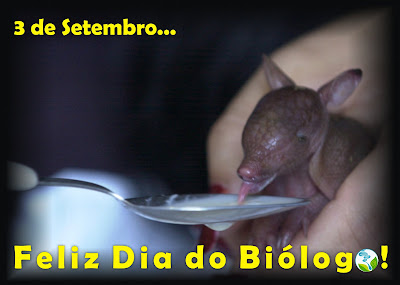 dia do biólogo - tatu