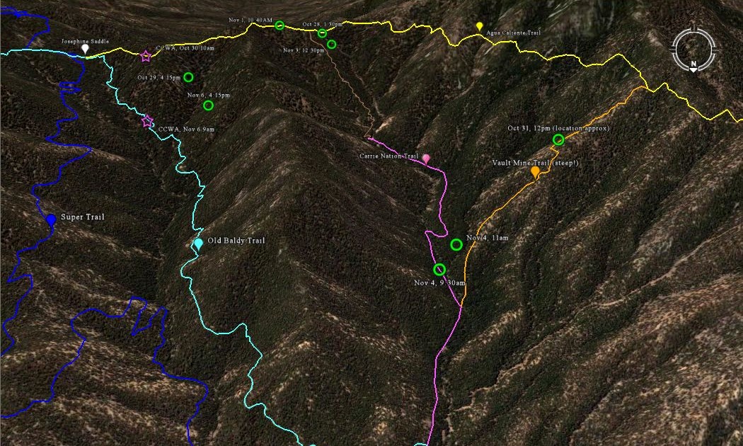 Birding in Arizona Madera Canyon Update