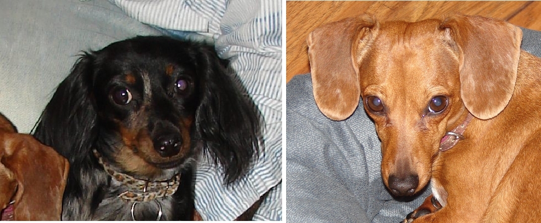 [Document1_p01(29).JPG]