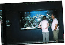 my parents at the aquariam in utah that we all went to!!